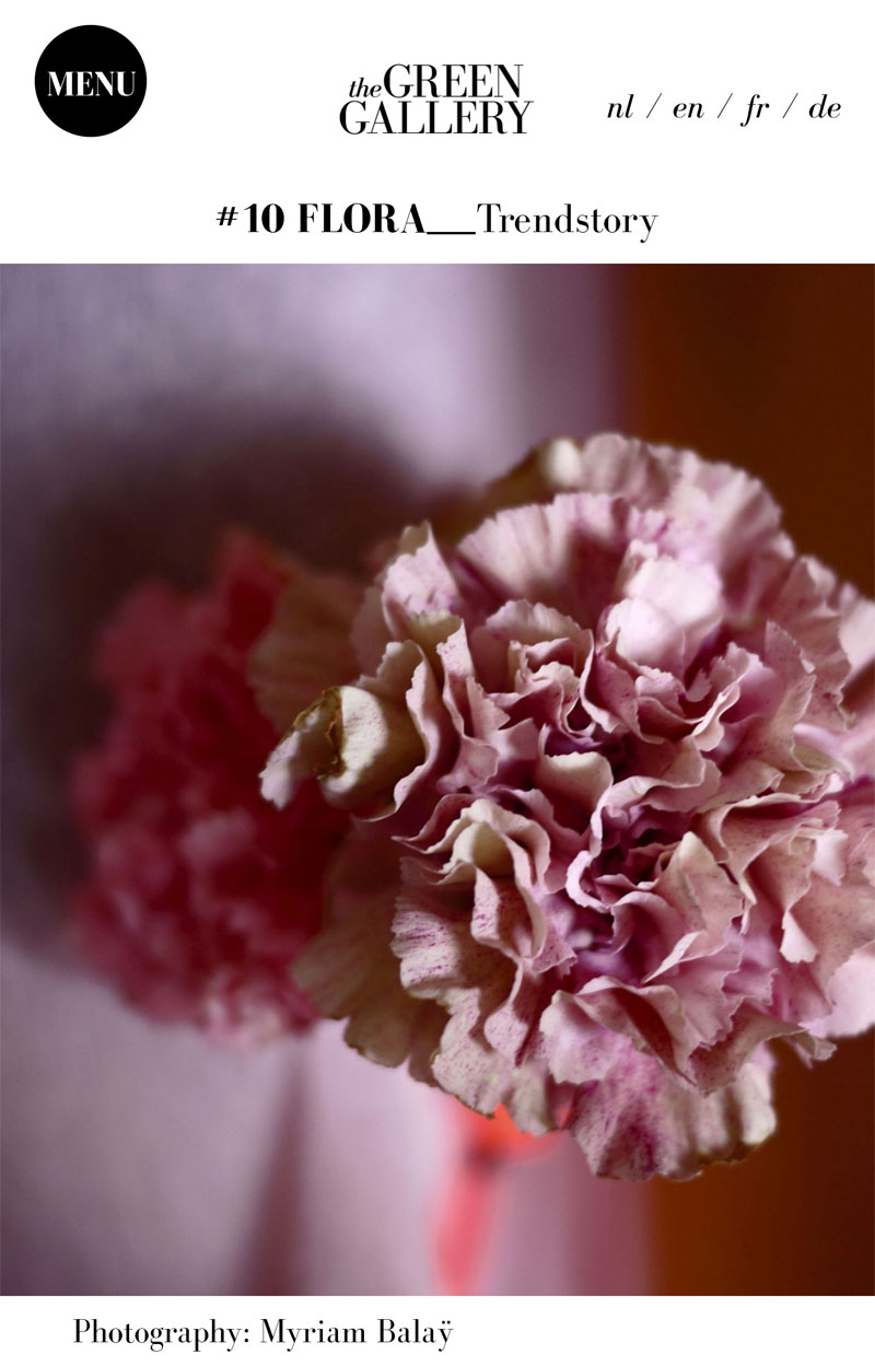 green-galley_myriam-balay-photo