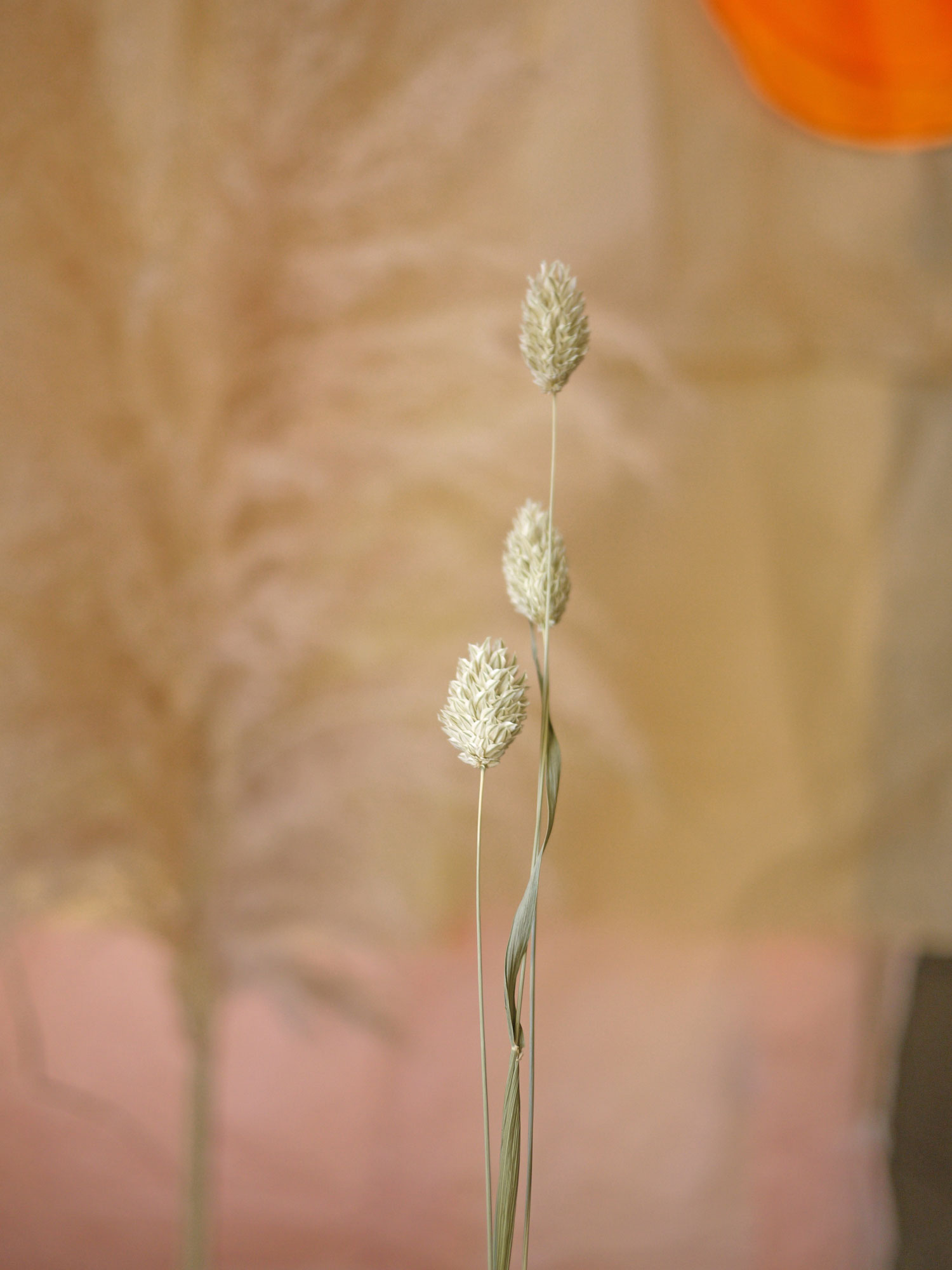 Myriam Balaÿ @myriambalay - Ethereal - The Green Gallery n°14 - Floral enlightment - Trendstory