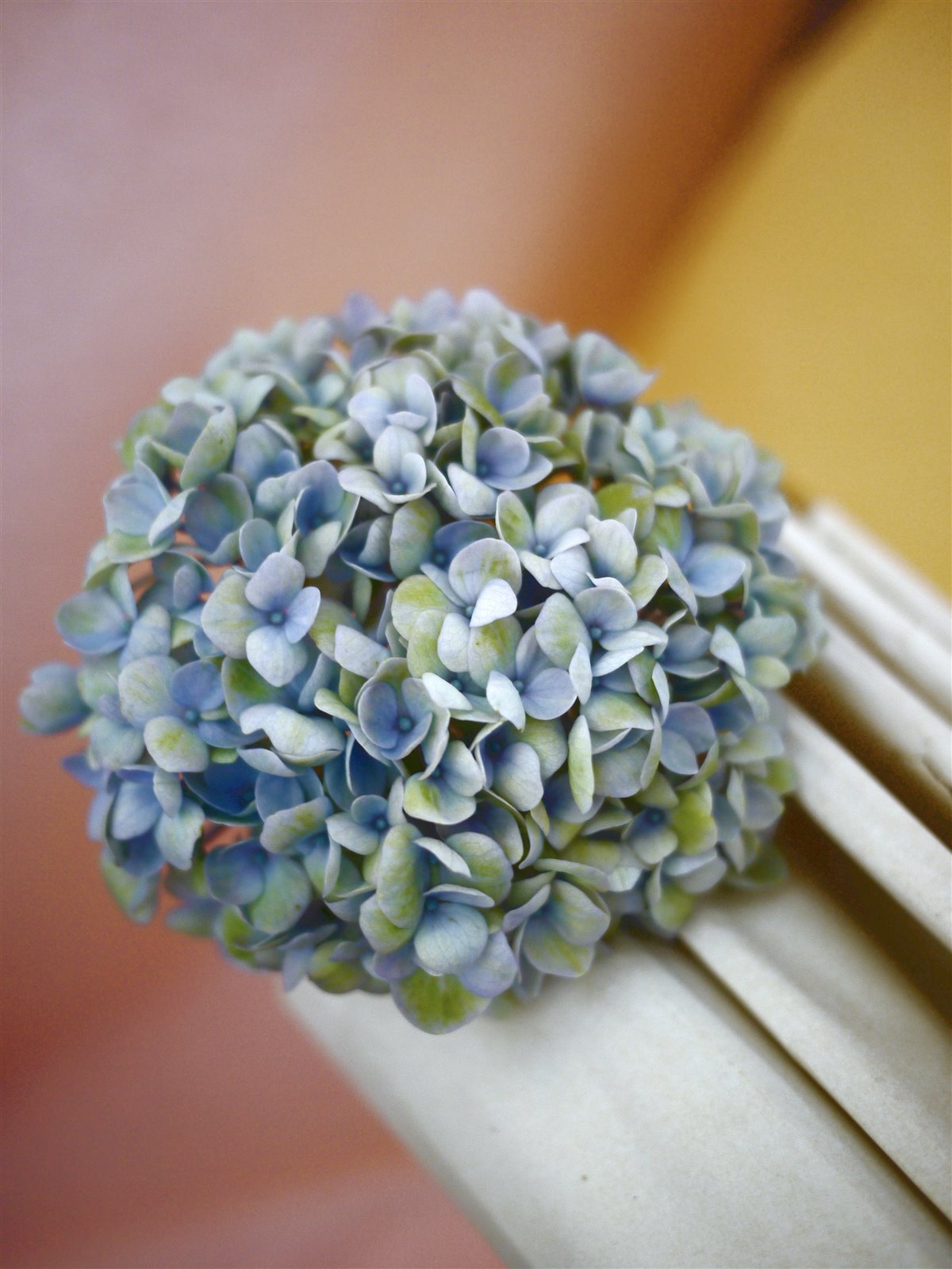 Myriam Balaÿ @myriambalay - Cerulean Hydrangea - The Green-gallery n°15 - Serenade in blue - cahier de Tendance - Trendstory