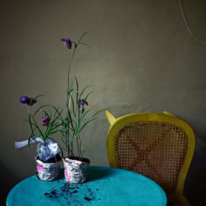 My fragile fritillary - The Green Gallery (n°3)