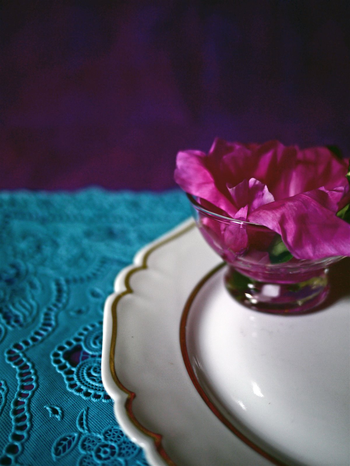 Myriam Balaÿ @myriambalay - Purple - The Green Gallery n°4 - Plants - Trendstory