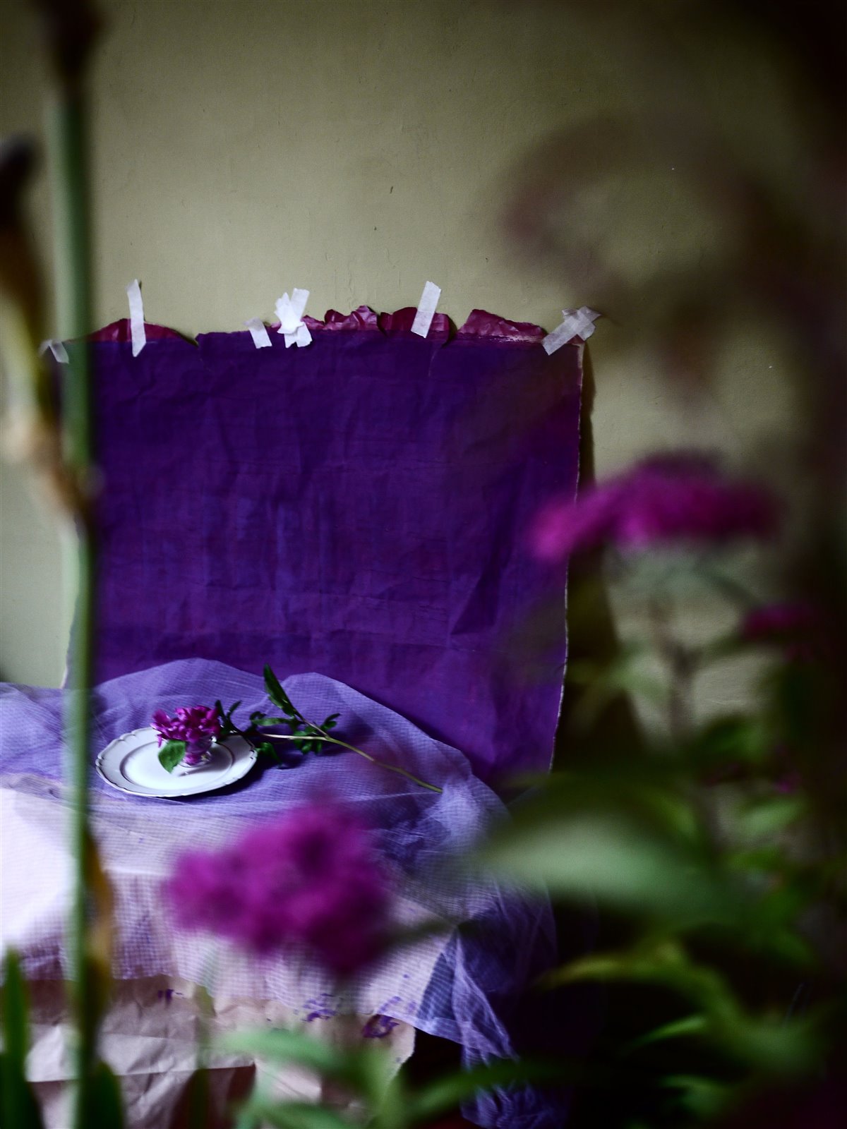 Myriam Balaÿ @myriambalay - Purple - The Green Gallery n°4 - Plants - Trendstory