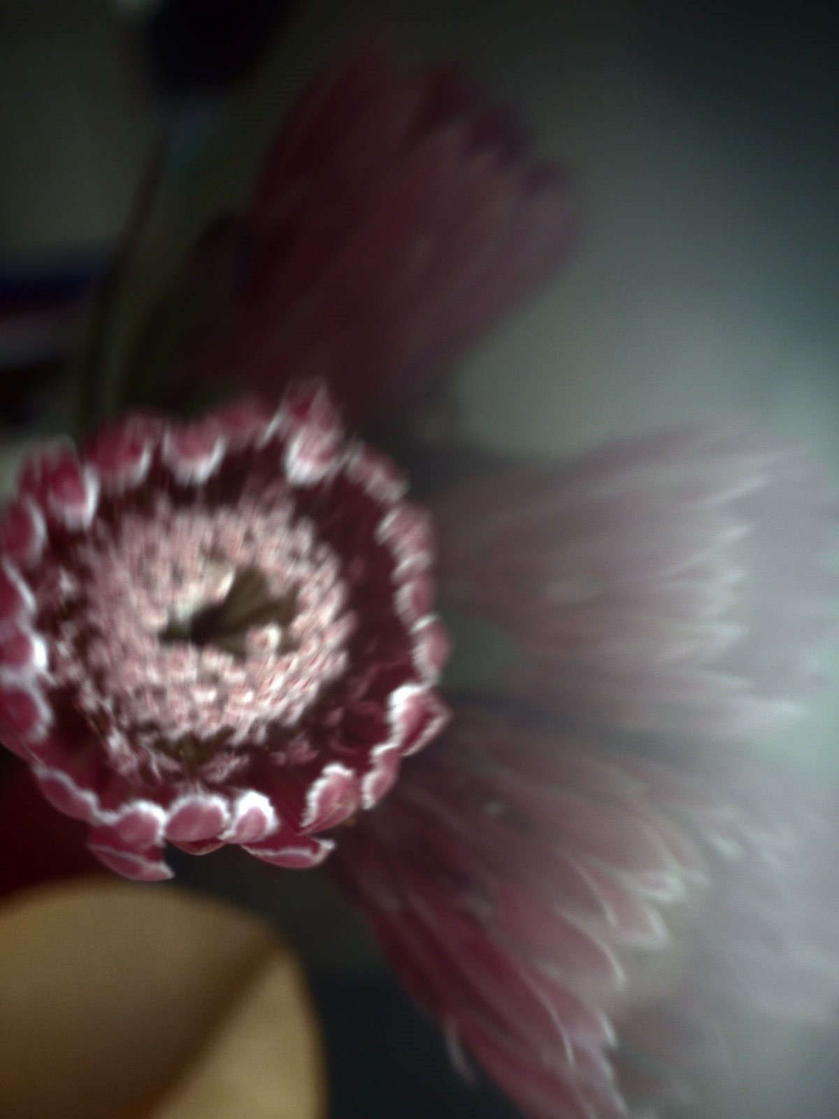 Myriam Balaÿ @myriambalay - Protea - The Green Gallery n°11 - Mash-up - Trendstory