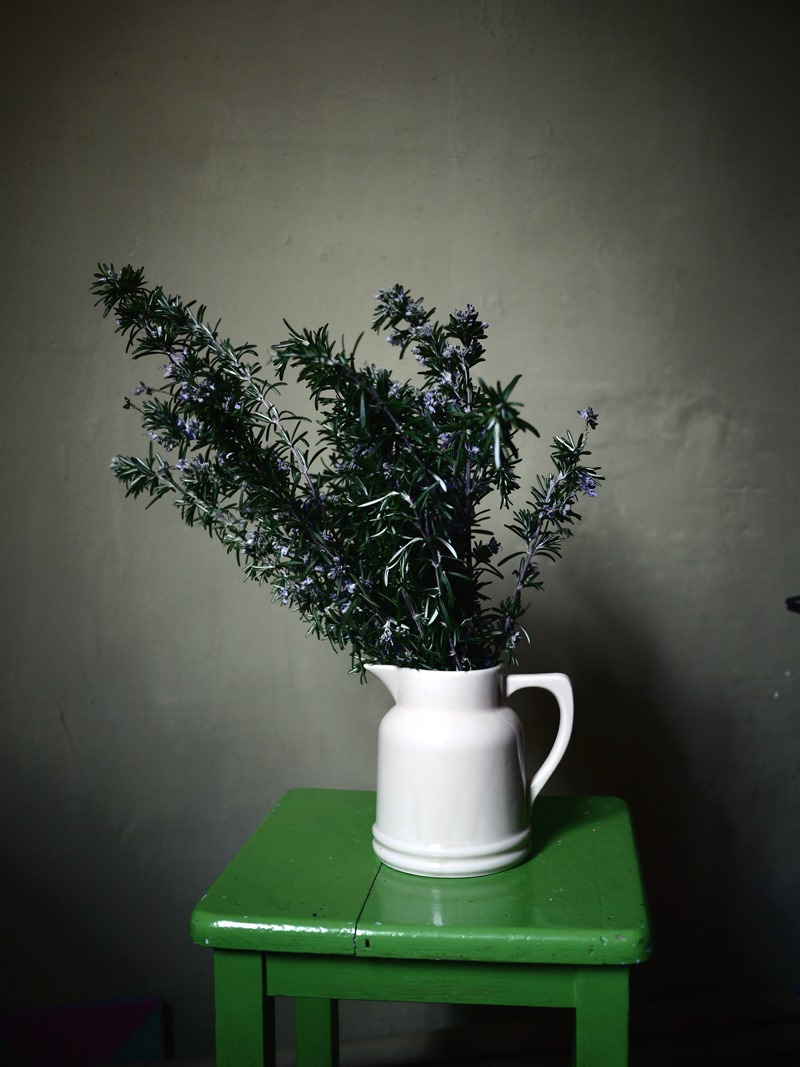 retour de marché nature morte photo myriam balaÿ 06.03.20